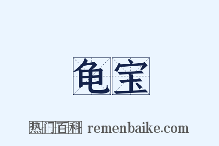龟宝是什么意思的图片